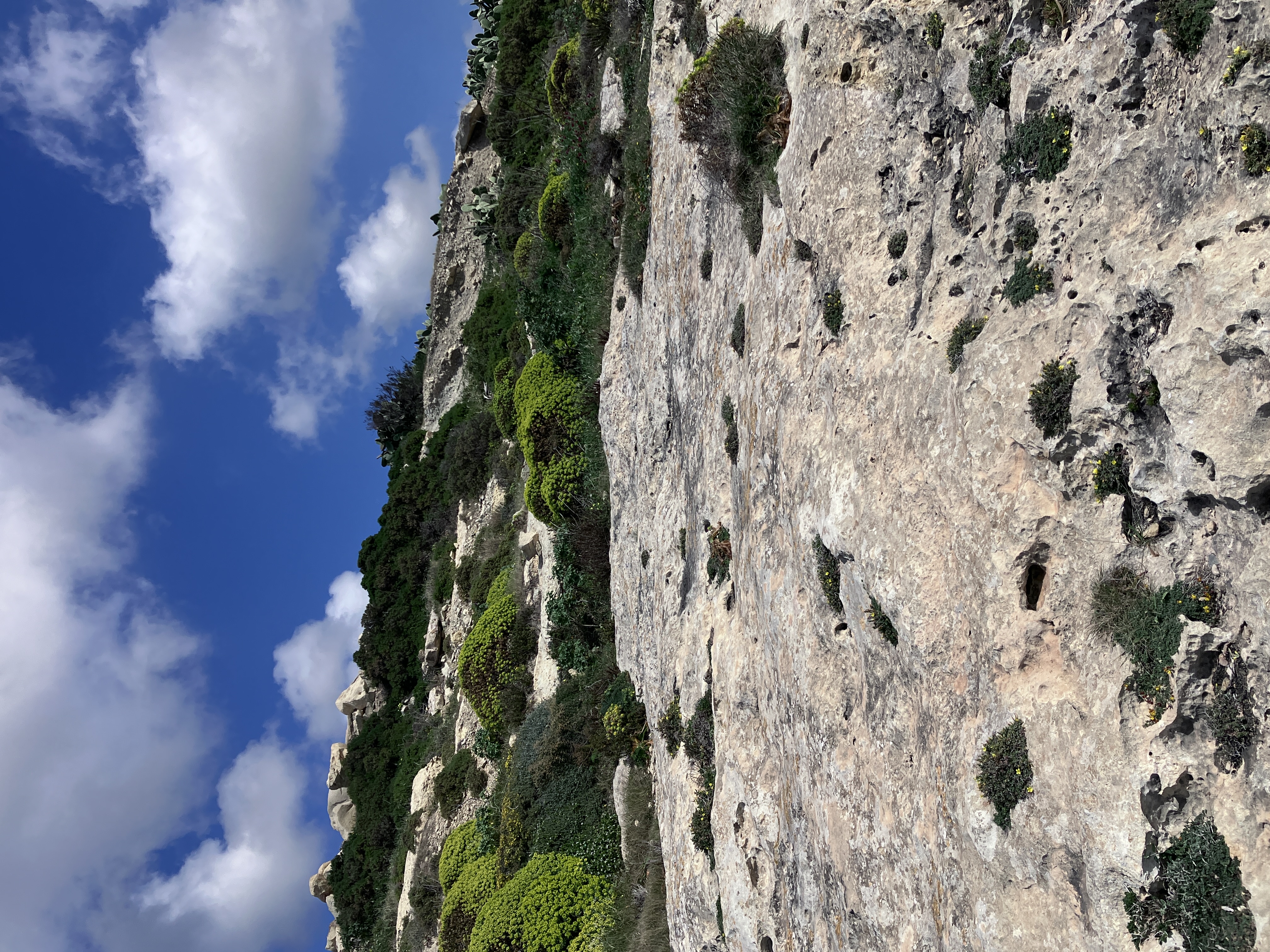 Świątynia Punicka Ras il-Wardija - 2