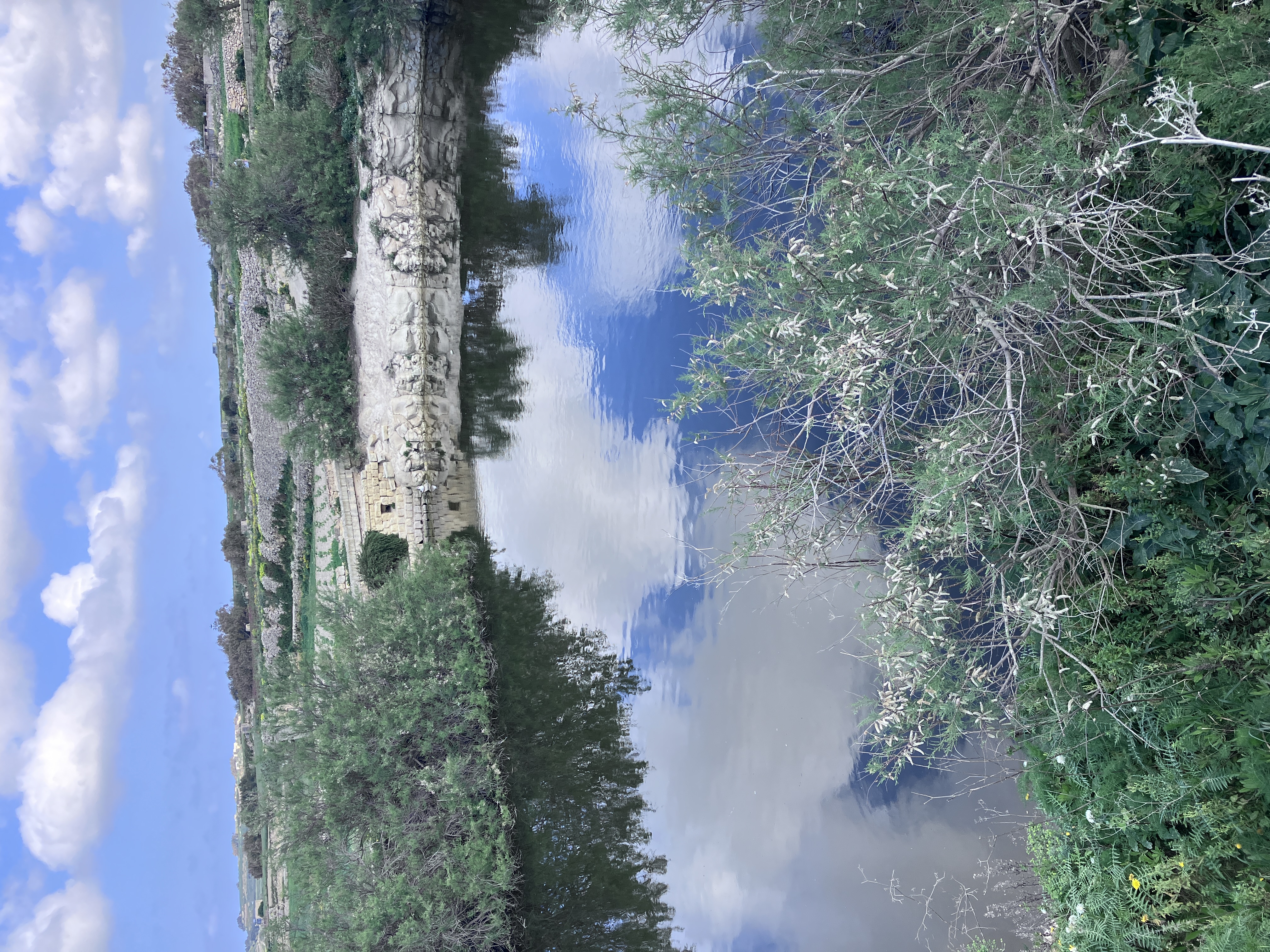 Jezioro Ta' Sarraflu - 3