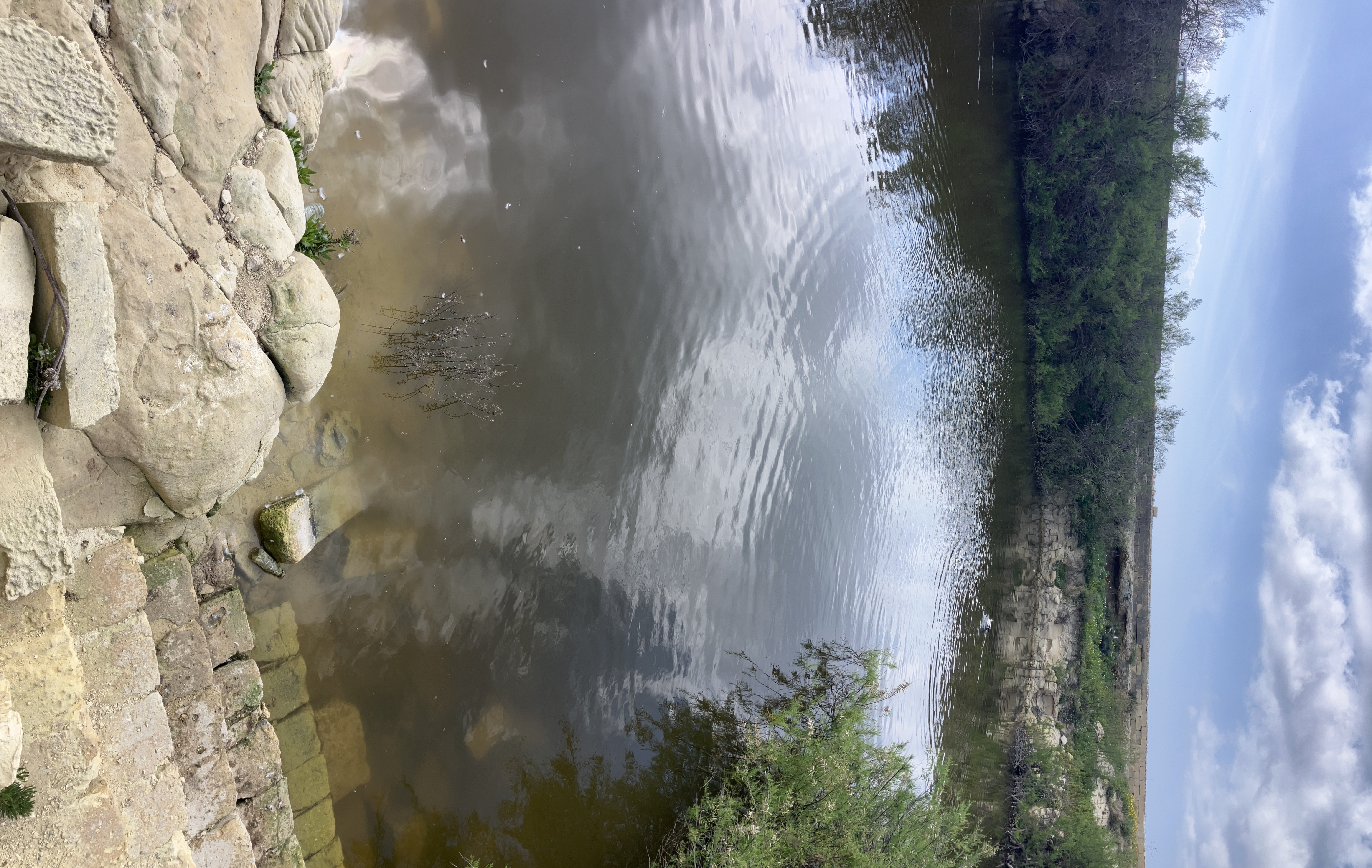 Jezioro Ta' Sarraflu - 7