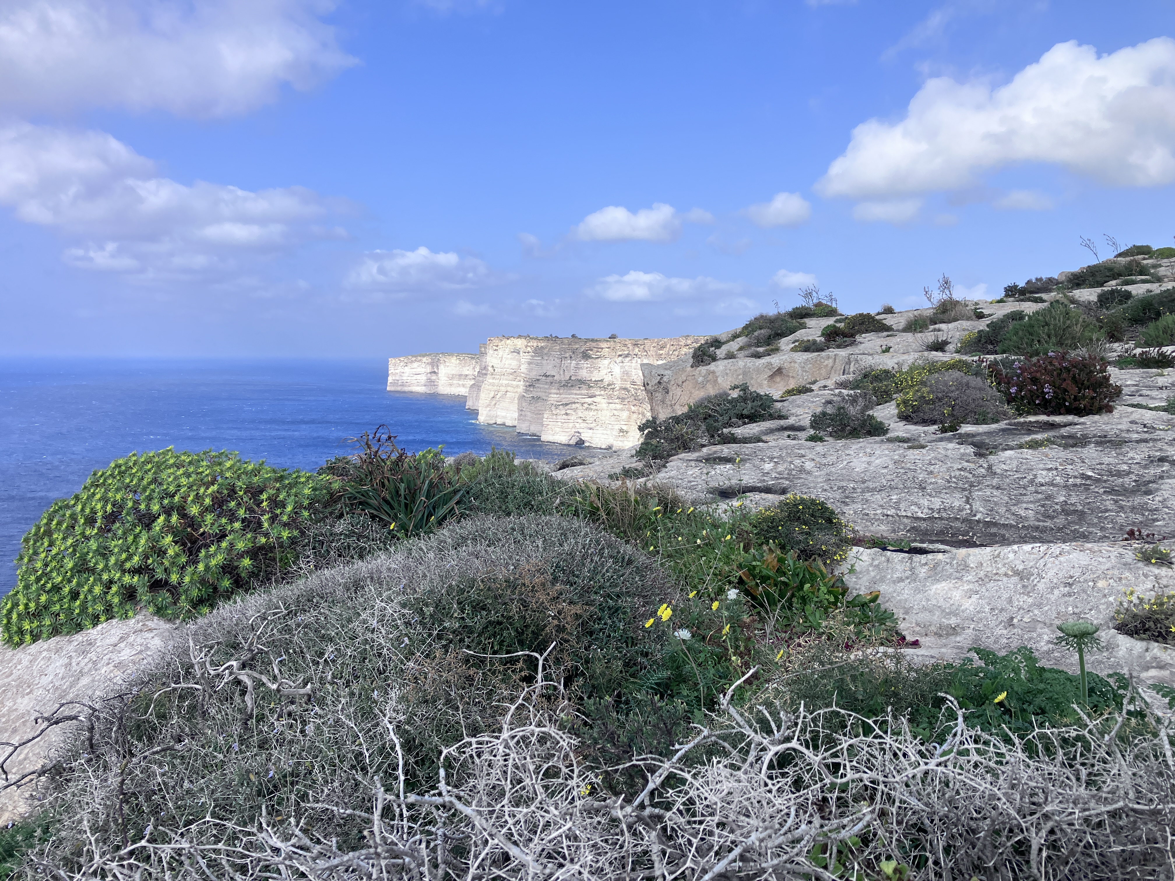 Klify Ta' Cenc - 4