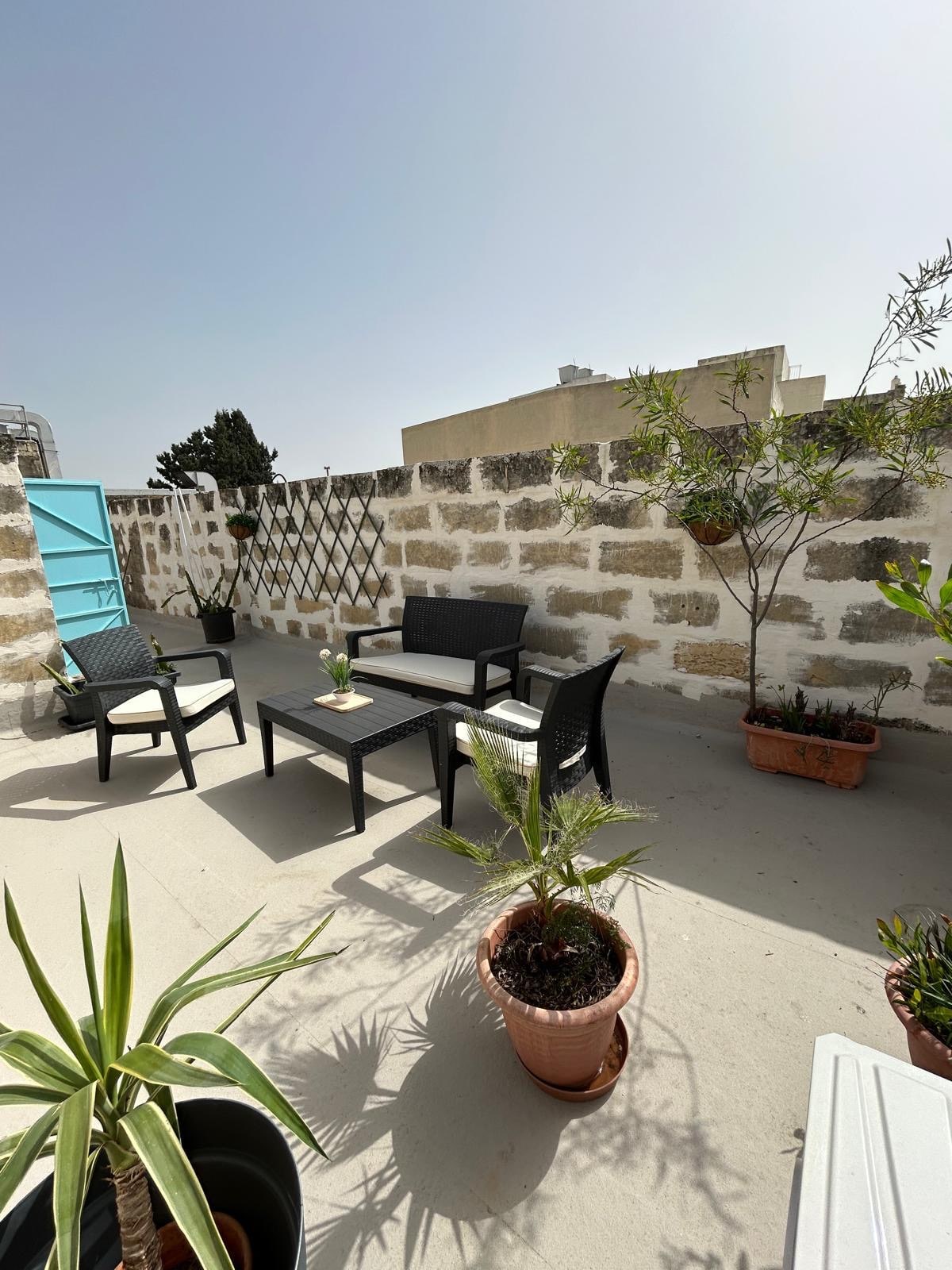 Maltese Charm Getaway