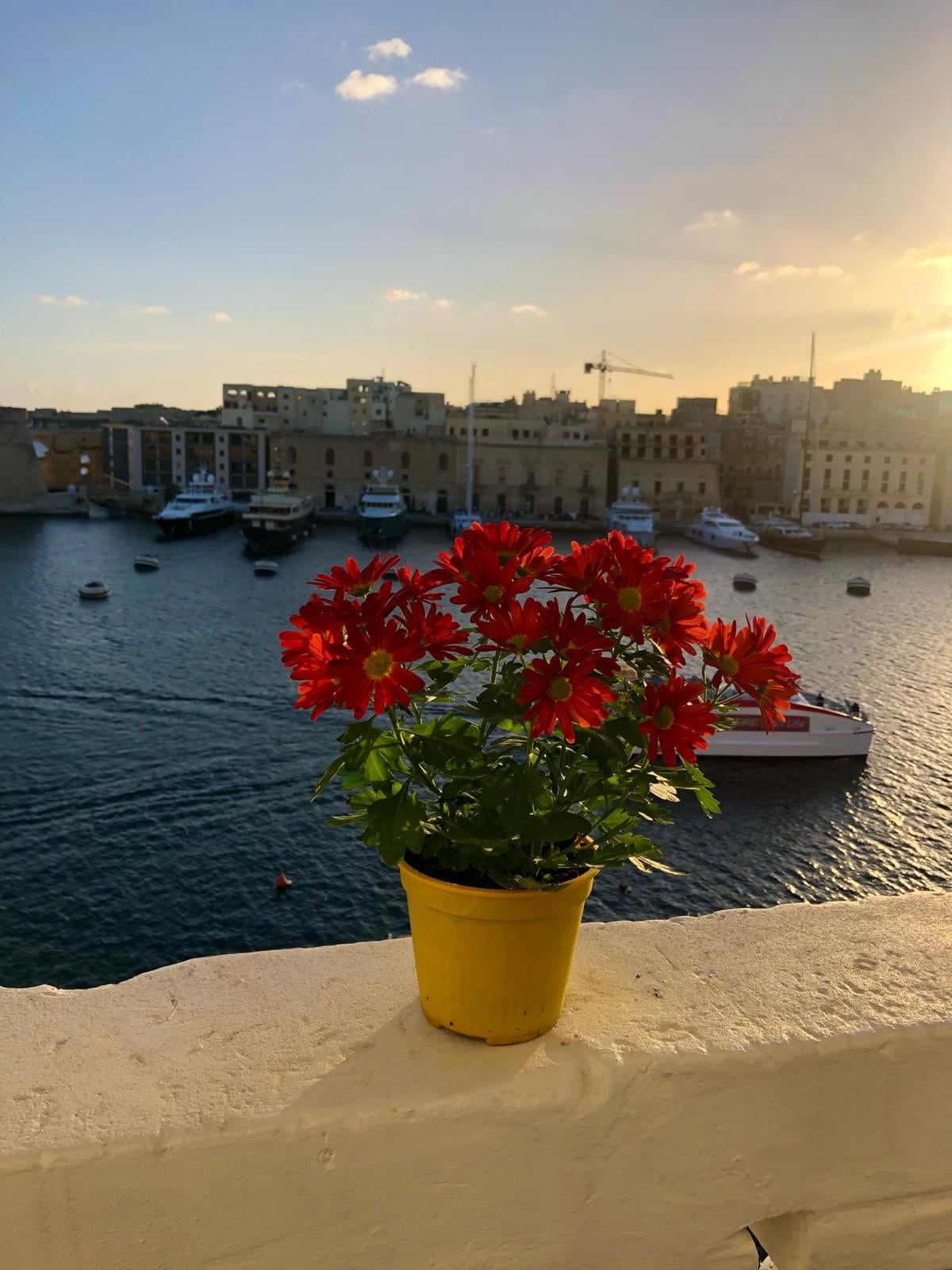 Vitamin Sea Apartment Senglea.