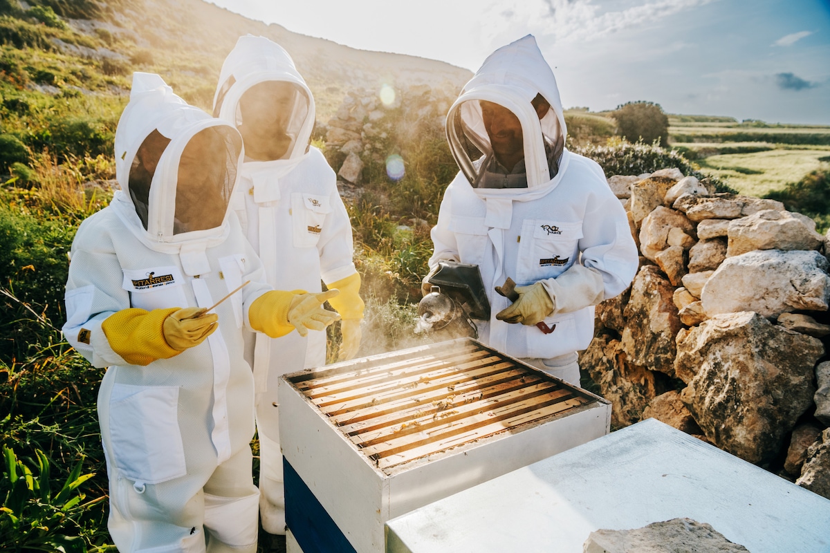 Explore beekeeping in Gozo