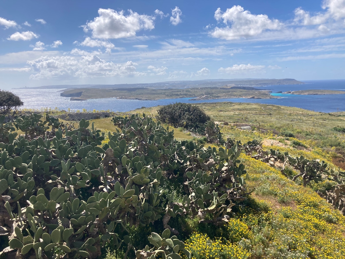 Spokojny dom wiejski z widokiem na Blue Lagoon
