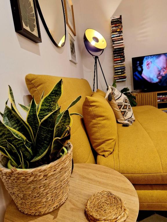 Tal-Pupa Converted Home