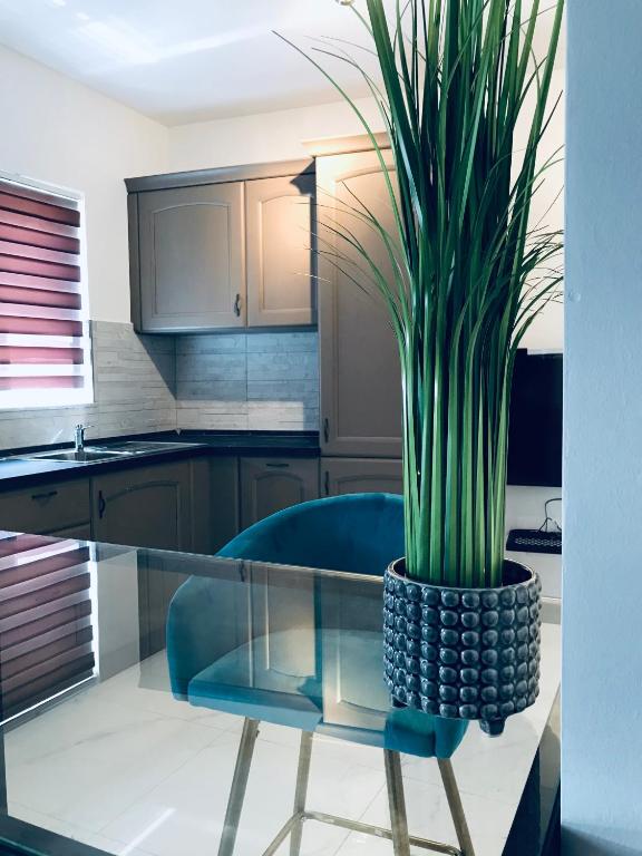 Zenith Apartment A20