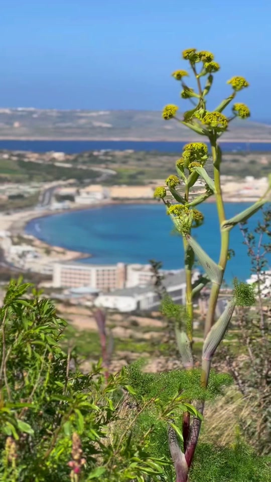 Visiting our Sister Island of Gozo in the Maltese archipelago ❤️