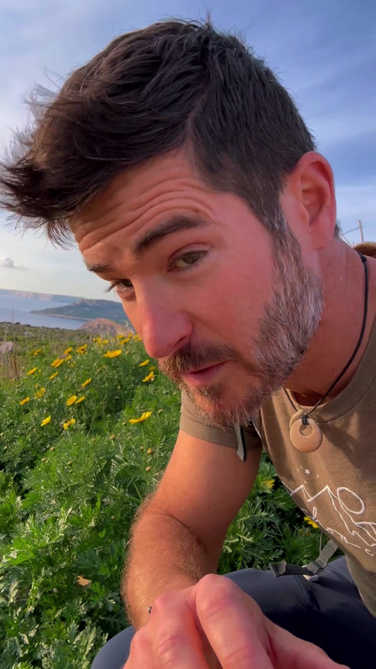 Visiting Malta? 🇲🇹🤔 Here are 5 Things to Consider 🌍 👉Where to Stay?  Valletta, Saint Julian's, and Sliema are the most popular areas for tourists to stay due to their proximity and central location on the island. However, consider staying in 'Birgu' or one of the '3 cities' (Vittoriosa, Senglea, or Conspicua) for an authentic historic feel and to be surrounded by fortresses. 👍 If you're looking to stay in quieter areas, look to the north of the island, or consider Gozo. Malta's sister island is a favorite for Maltese looking to get away for the weekend and enjoy a more rural and less crowded area. 😉 👉 When to Visit? The best times to be in the water are summer and early fall, as the water is warmer. However, the clearest waters are in the spring and wintertime, so if you're into scuba diving, consider visiting around these times. 🤿 The rainy season (Nov-March) brings the little rain that is needed to make the island pop with color. So, if you're a person wishing to be outside with great weather, hiking, biking, or exploring... consider visiting anytime November thru April. 🌱 👉Be Prepared With over 300 days of sun each year, make sure you have a good pair of sunglasses, as well as  protection from the elements. Especially in the summertime. 😎 👉Be Comfortable It can be very hot during summer and very cold in the winter with the humidity, so make sure to dress appropriately and have good comfortable walking shoes. Most of the streets are older and can be slippery, so watch your heels. 😳👠 👉How Long to Stay? Depending on how long to have available, I suggest nothing shorter than 3 days just to see a few sights and leave you wanting to come back for more. ❤️ It's much better to stay 5-7+ days to give yourself more time to explore and not feel rushed. 🏃‍♀️ Remember to respect the island, its culture and its people; and leave no trace behind wherever you go.