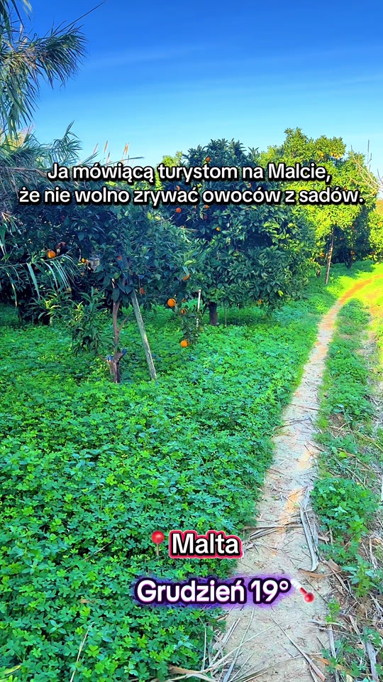 Oczywiście Pan rolnik pozwolił nam urwać sobie pomarańczkę 😇 Na Malci...