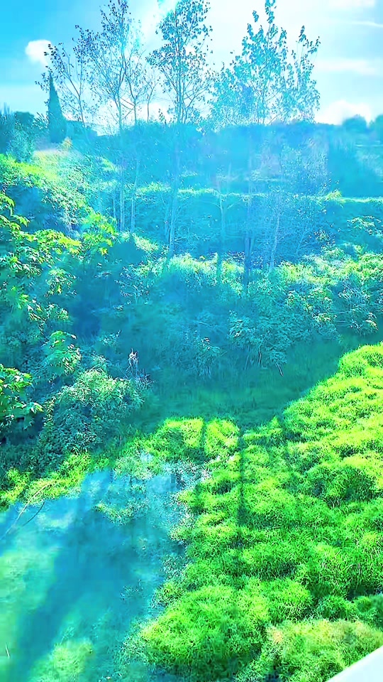 Jeżeli masz ochotę na spotkanie z naturą przy zatłoczonej Malcie 🌺🇲🇹 ...