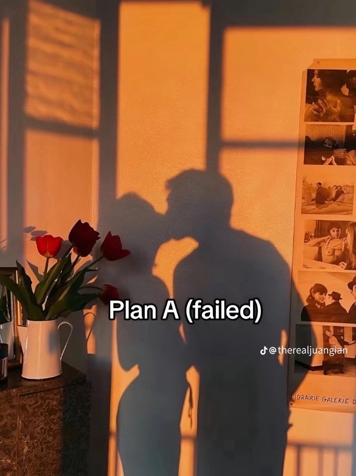 Plan B is the best way 🎉🎉シ゚